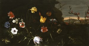 鲜花和青蛙